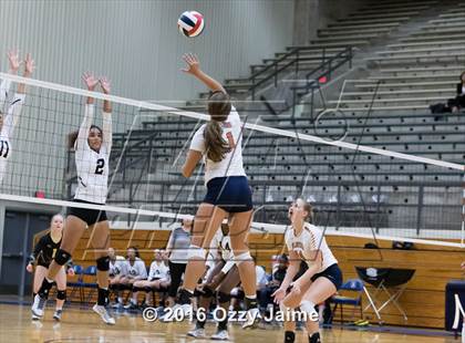 Thumbnail 3 in Brennan vs. Madison photogallery.