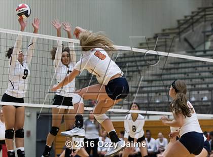 Thumbnail 3 in Brennan vs. Madison photogallery.
