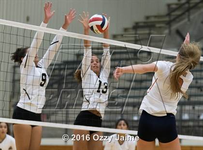 Thumbnail 1 in Brennan vs. Madison photogallery.