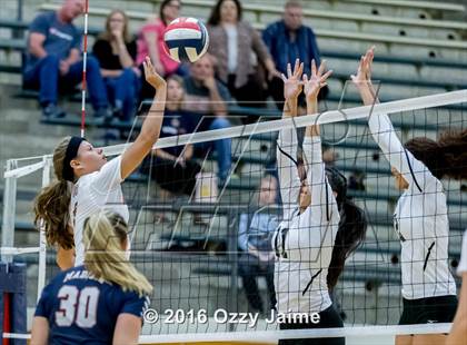 Thumbnail 3 in Brennan vs. Madison photogallery.