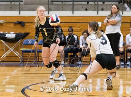 Thumbnail 3 in Brennan vs. Madison photogallery.