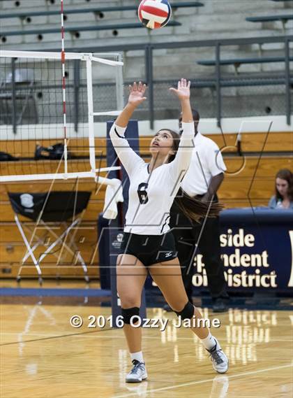 Thumbnail 2 in Brennan vs. Madison photogallery.