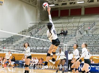 Thumbnail 3 in Brennan vs. Madison photogallery.