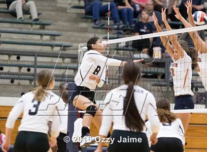 Thumbnail 1 in Brennan vs. Madison photogallery.