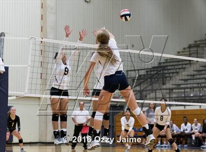 Thumbnail 1 in Brennan vs. Madison photogallery.