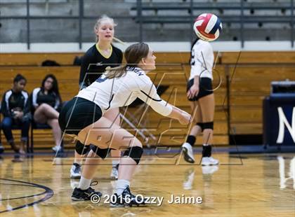 Thumbnail 2 in Brennan vs. Madison photogallery.