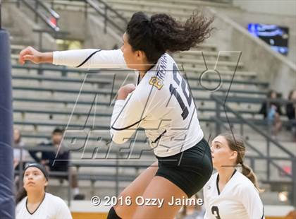 Thumbnail 3 in Brennan vs. Madison photogallery.