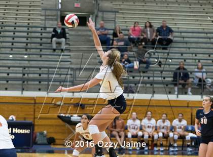 Thumbnail 3 in Brennan vs. Madison photogallery.
