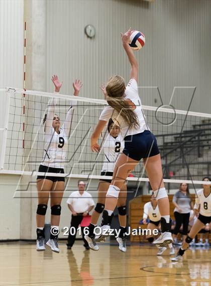 Thumbnail 3 in Brennan vs. Madison photogallery.