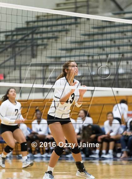 Thumbnail 1 in Brennan vs. Madison photogallery.