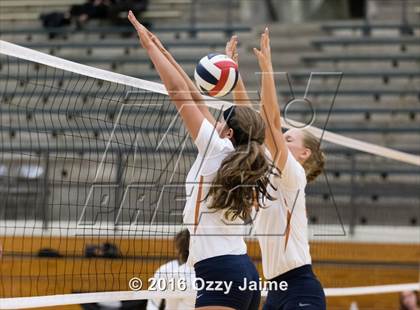 Thumbnail 2 in Brennan vs. Madison photogallery.