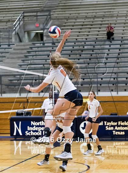 Thumbnail 2 in Brennan vs. Madison photogallery.