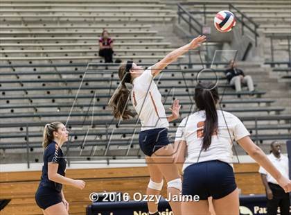Thumbnail 2 in Brennan vs. Madison photogallery.