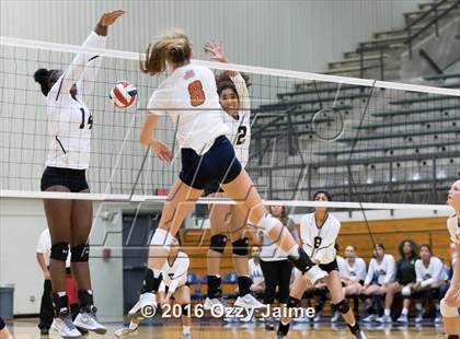 Thumbnail 3 in Brennan vs. Madison photogallery.