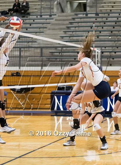 Thumbnail 2 in Brennan vs. Madison photogallery.
