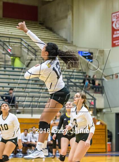 Thumbnail 2 in Brennan vs. Madison photogallery.