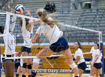 Thumbnail 1 in Brennan vs. Madison photogallery.