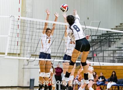 Thumbnail 1 in Brennan vs. Madison photogallery.