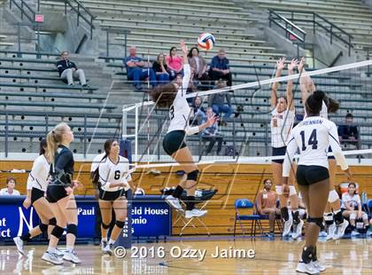 Thumbnail 3 in Brennan vs. Madison photogallery.