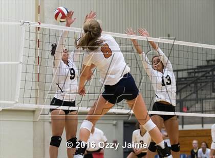 Thumbnail 3 in Brennan vs. Madison photogallery.