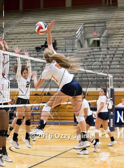 Thumbnail 3 in Brennan vs. Madison photogallery.
