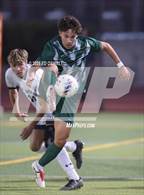 Photo from the gallery "Bellarmine College Prep @ De La Salle (CIF NorCal D1 Semifinal)"