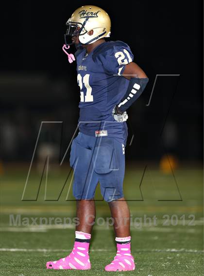 Thumbnail 1 in Franklin @ Elk Grove photogallery.