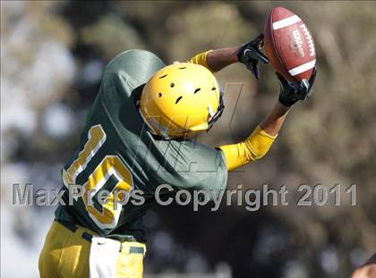 Thumbnail 3 in Dixon @ Vanden  photogallery.