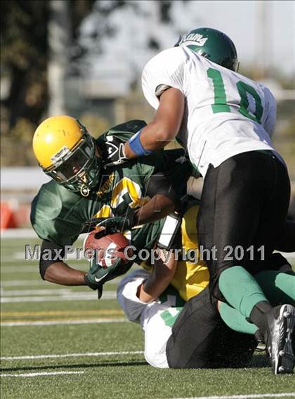 Thumbnail 3 in Dixon @ Vanden  photogallery.