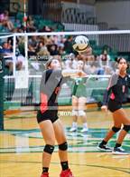 Photo from the gallery "Palmetto vs. Lakewood Ranch"