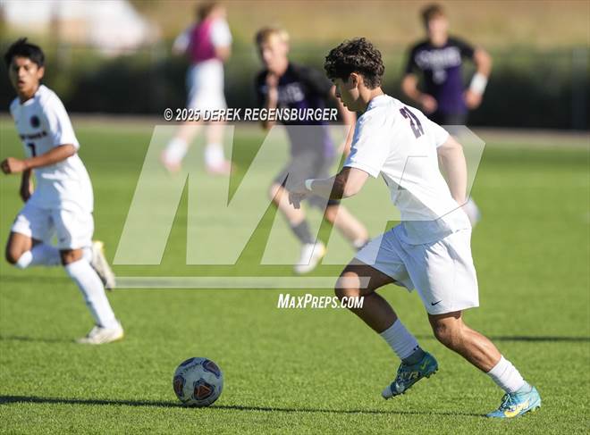 null - Photo 41