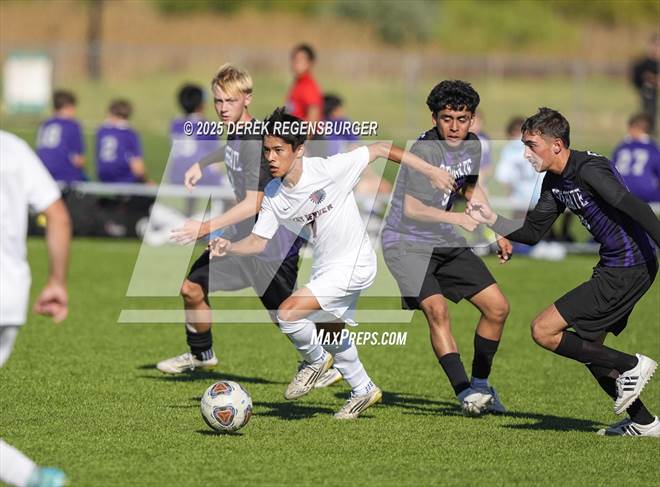 null - Photo 21