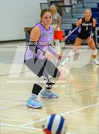 Photo from the gallery "Mountain View @ Severance"