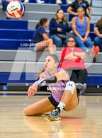 Photo from the gallery "Mountain View @ Severance"