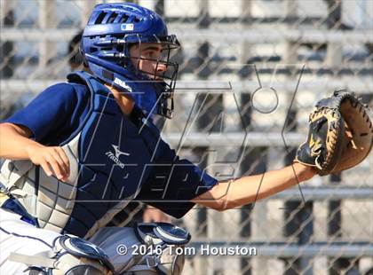 Thumbnail 3 in Arcadia vs Muir photogallery.