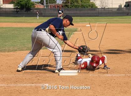 Thumbnail 3 in Arcadia vs Muir photogallery.