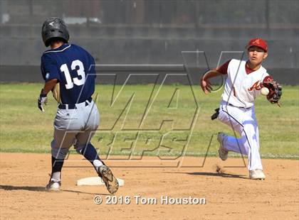 Thumbnail 1 in Arcadia vs Muir photogallery.