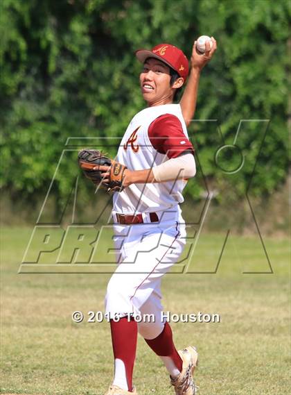 Thumbnail 3 in Arcadia vs Muir photogallery.