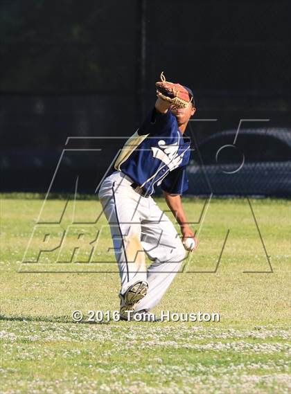 Thumbnail 3 in Arcadia vs Muir photogallery.