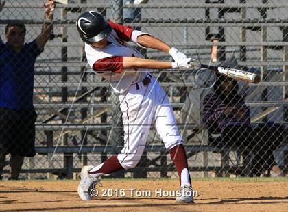 Thumbnail 3 in Arcadia vs Muir photogallery.
