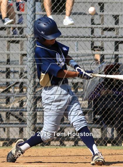 Thumbnail 3 in Arcadia vs Muir photogallery.