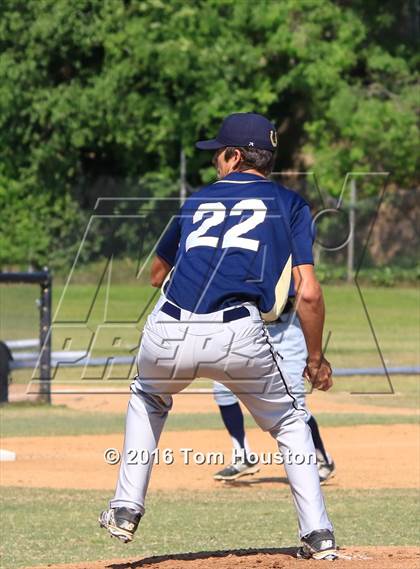 Thumbnail 3 in Arcadia vs Muir photogallery.