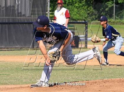 Thumbnail 3 in Arcadia vs Muir photogallery.