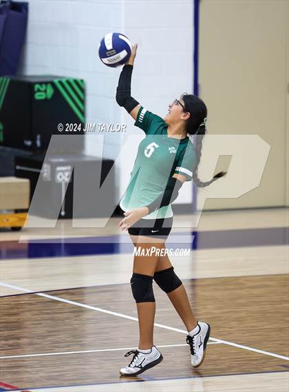 Thumbnail 2 in Santo @ Perrin_Whitt photogallery.