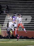 Photo from the gallery "Cordova @ Elite"