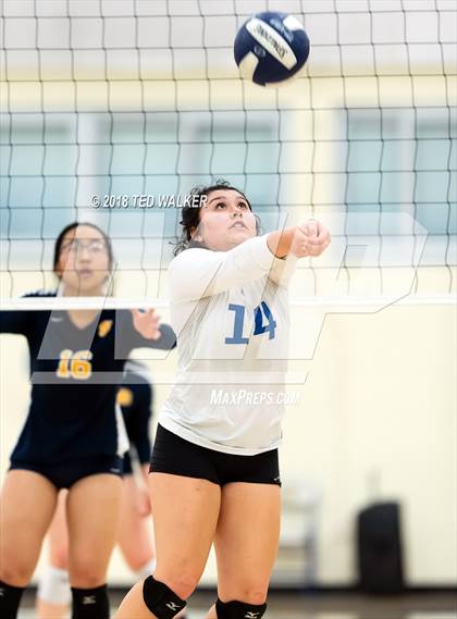 Thumbnail 3 in Milpitas @ Santa Clara photogallery.