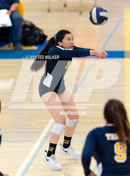 Thumbnail 2 in Milpitas @ Santa Clara photogallery.