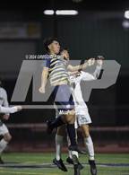 Photo from the gallery "St. Francis @ Notre Dame (SO)"