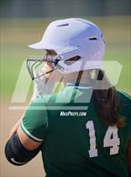 Photo from the gallery "Liberty Ranch @ Franklin"