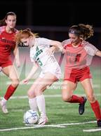 Photo from the gallery "San Marin @ San Rafael"